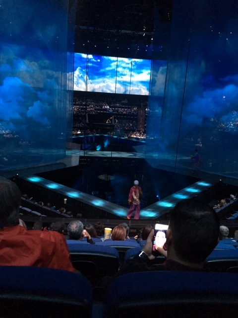 ラスベガスへの旅-Cirque du Soreil_e0350971_02012673.jpg