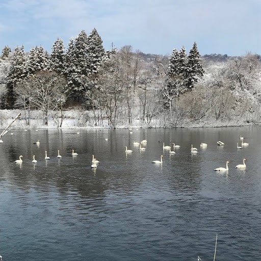 4月になっても雪_c0361473_20102014.jpg