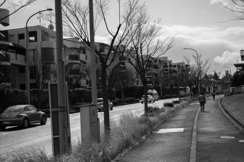 f0167977_17490924.jpg