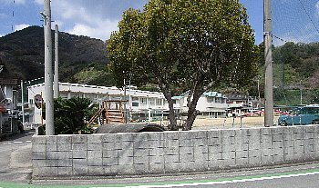 f0003283_08264075.jpg