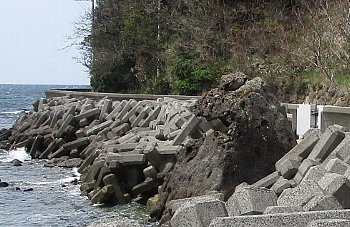 f0003283_08265286.jpg