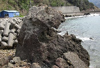 f0003283_08265659.jpg