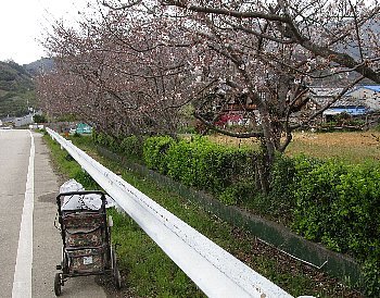 f0003283_15214232.jpg