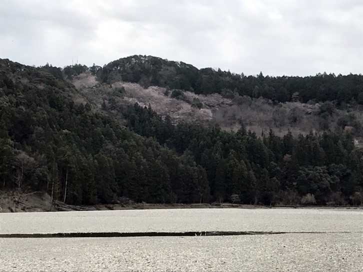 c0144185_23545717.jpg