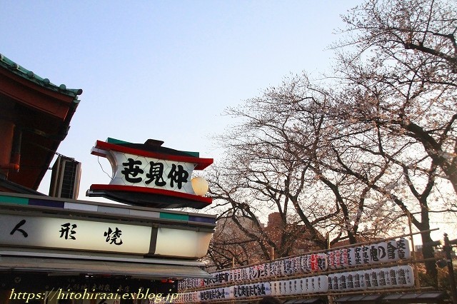 浅草寺の枝垂れ桜_f0374092_22414735.jpg