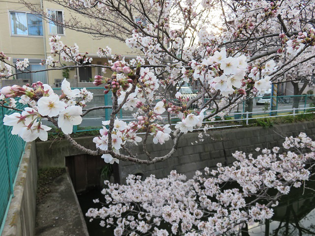 f0346196_10565350.jpg