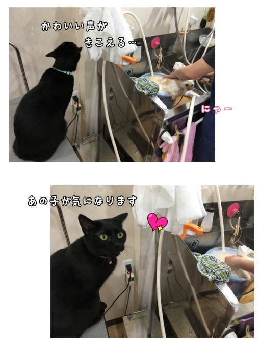 d0269898_13290269.jpeg