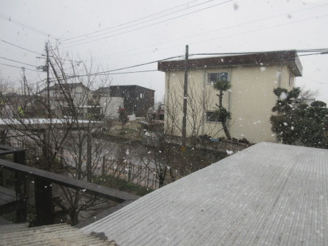 a0203003_16465073.jpg