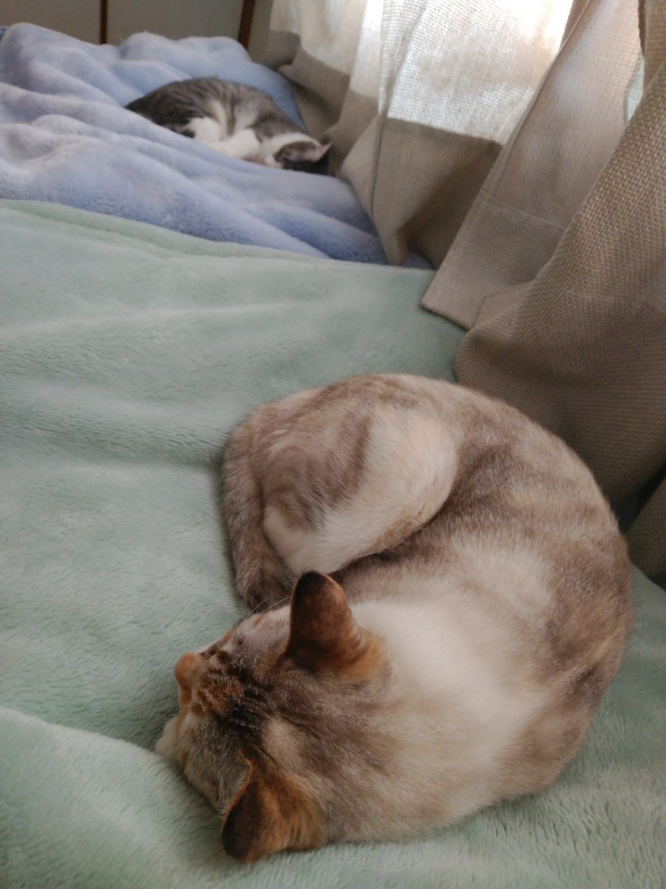 折り合いついた?_f0255704_08141156.jpg