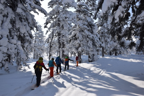 2019年3月3日 快晴の三段山を滑る_c0242406_10420064.jpg