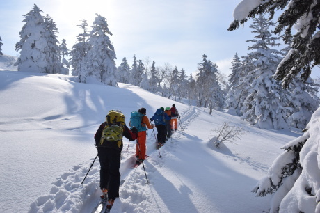 2019年3月3日 快晴の三段山を滑る_c0242406_10431685.jpg