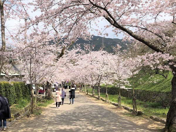 杉の馬場（朝倉市秋月）_f0364707_10542708.jpg