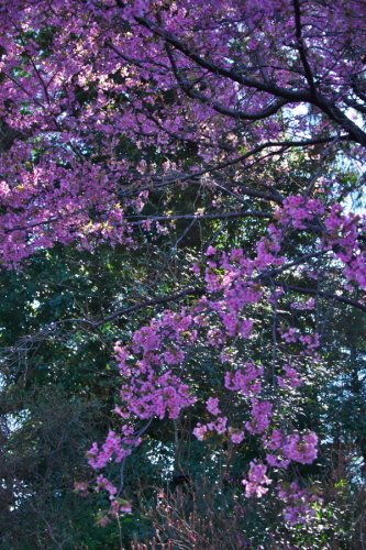 a0263109_14004869.jpg