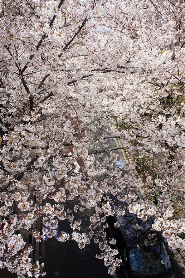b0112909_09350633.jpg