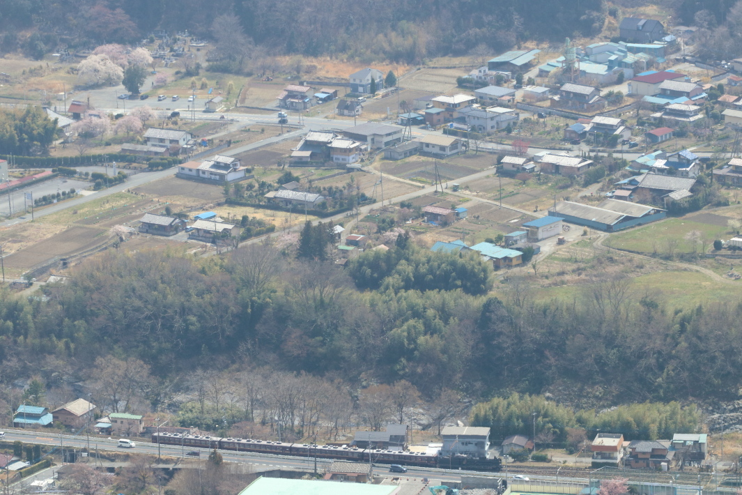 岩田桜満開 - 2019年桜・秩父鉄道 -_b0190710_23261972.jpg