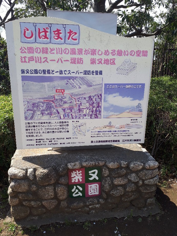 b0133713_15452358.jpg