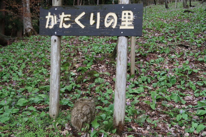 d0103314_23570909.jpg