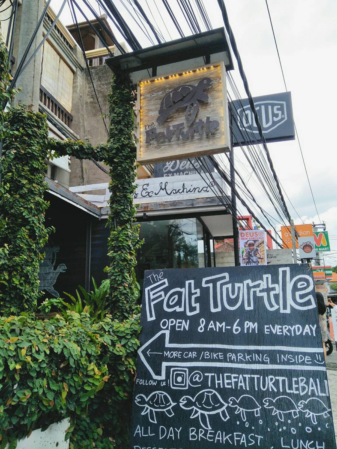 The Fat Turtle / ファット タートル_a0154918_14494554.jpg