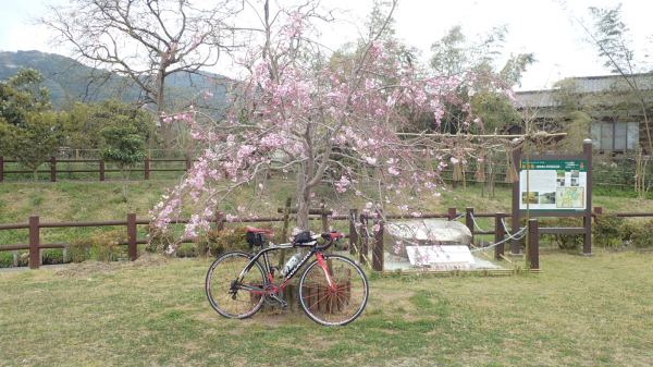 c0238519_00013445.jpg