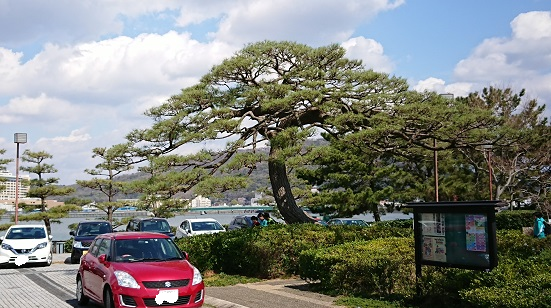 f0000521_08294060.png