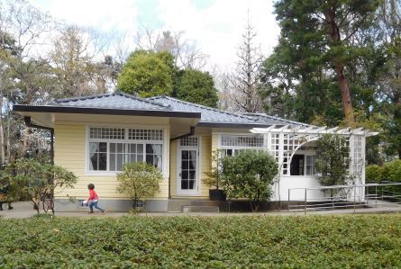 桜見物「小金井公園・江戸東京たてもの園」_b0089323_18244186.jpg