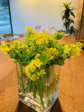 今週の花 ナバナ 工務店yome日記 今週の花 ナバナ 工務店yome日記