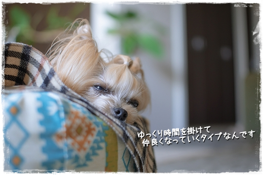 d0179828_07465058.png