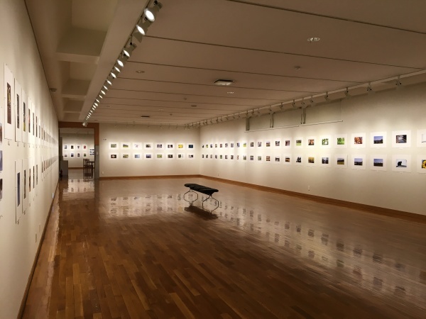 東川町文化ギャラリーで開催中の写真展のお知らせ_b0187229_08530985.jpg