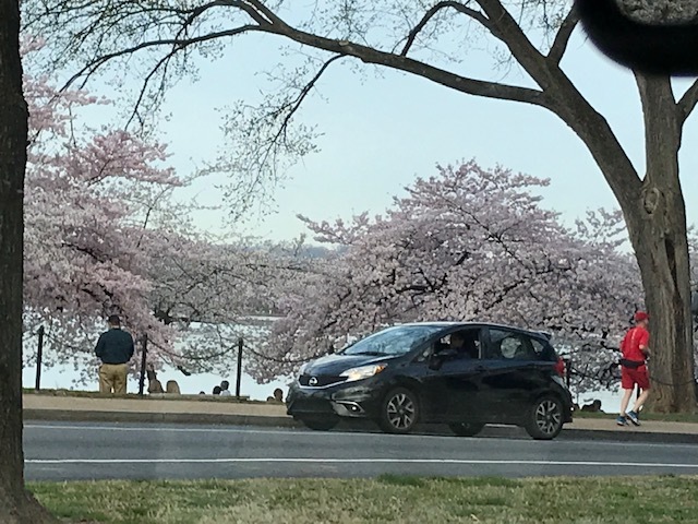 d0269832_03551647.jpeg