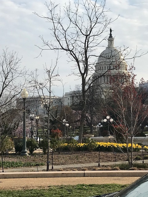 d0269832_03561273.jpeg