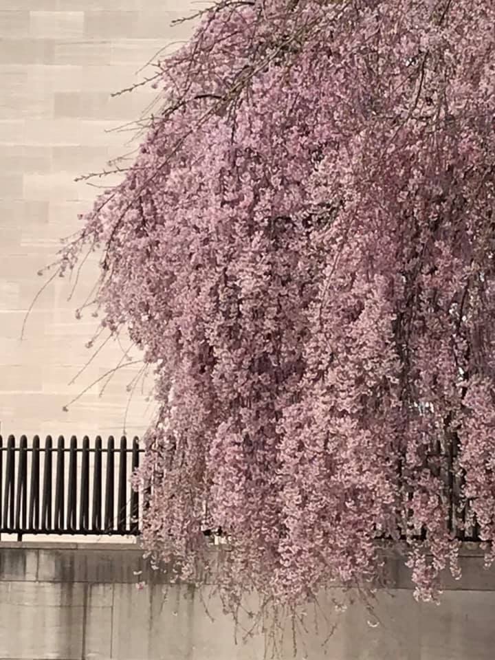 d0269832_04064200.jpeg