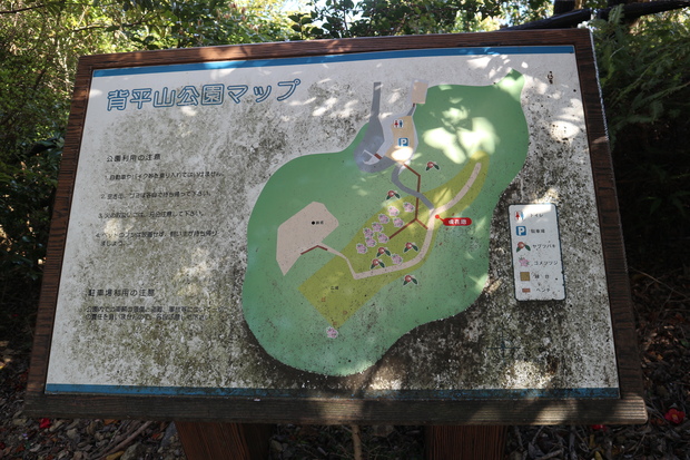 e0272335_83874.jpg
