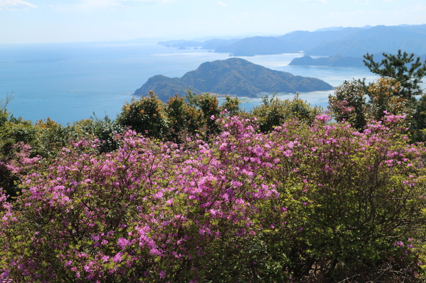 e0272335_8491161.jpg