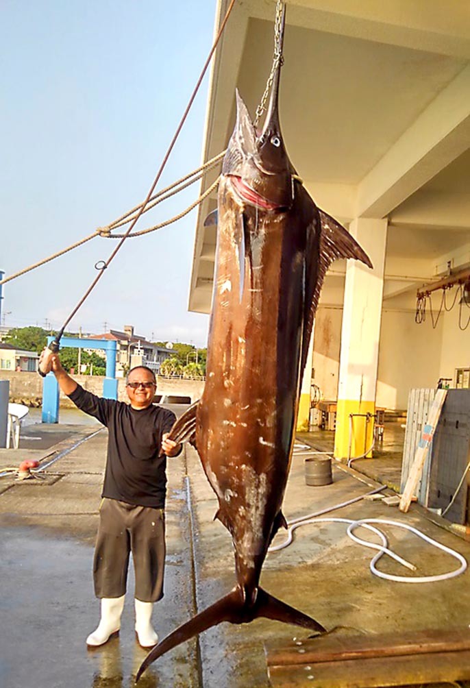 新品】クランキングリーダー トローリング リーダー 5本 カジキ 大物