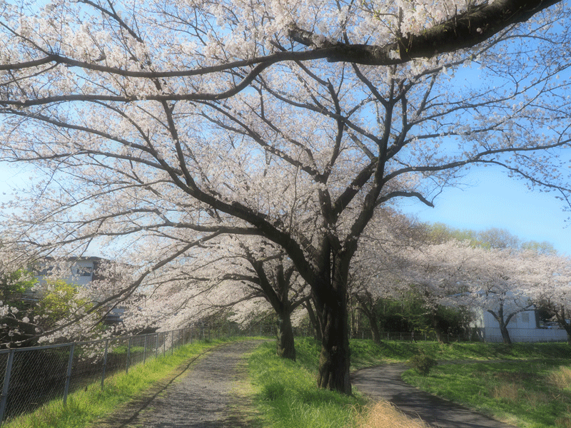 d0290240_11222516.gif