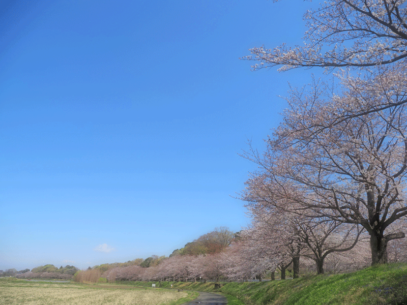 d0290240_11243982.gif