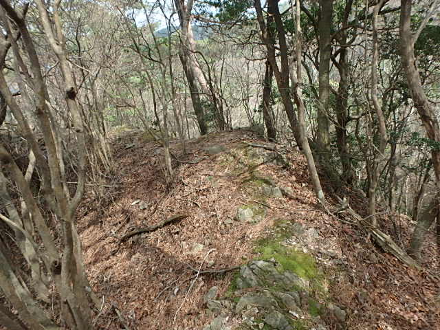 f0334143_193511100.jpg