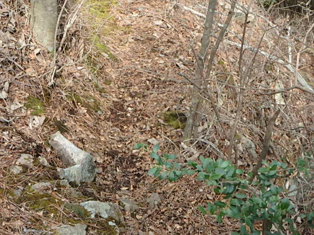f0334143_19352819.jpg