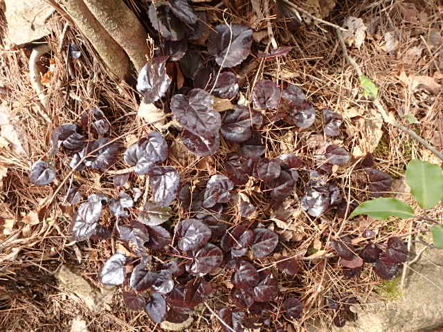f0334143_19371598.jpg