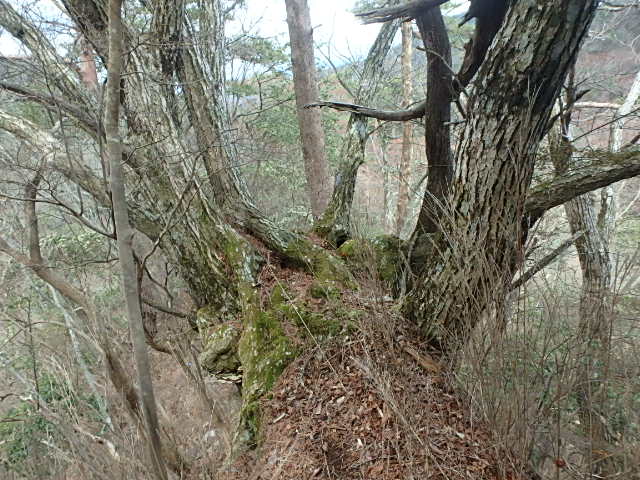 f0334143_19404315.jpg