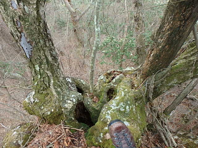 f0334143_19414491.jpg