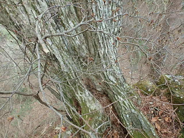 f0334143_1942550.jpg
