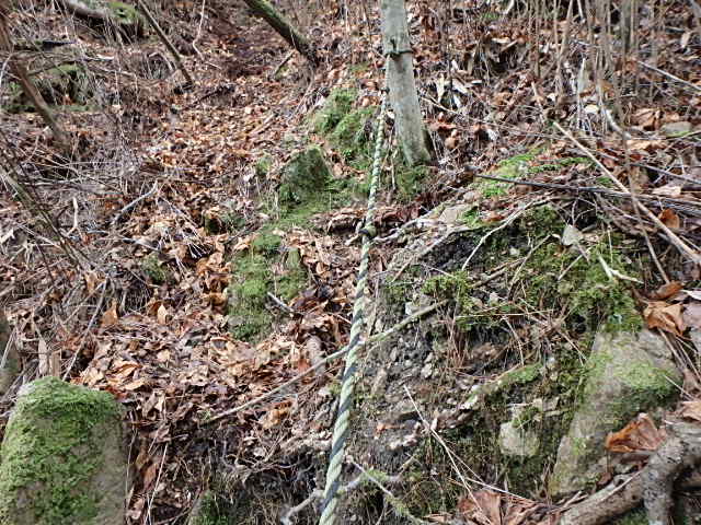 f0334143_19465523.jpg