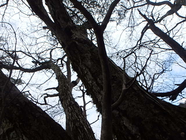 f0334143_1946627.jpg