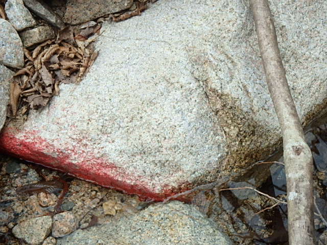 f0334143_1951288.jpg
