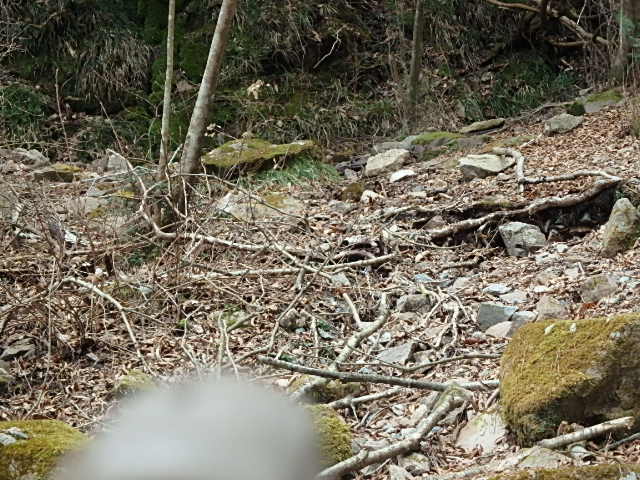 f0334143_19545133.jpg