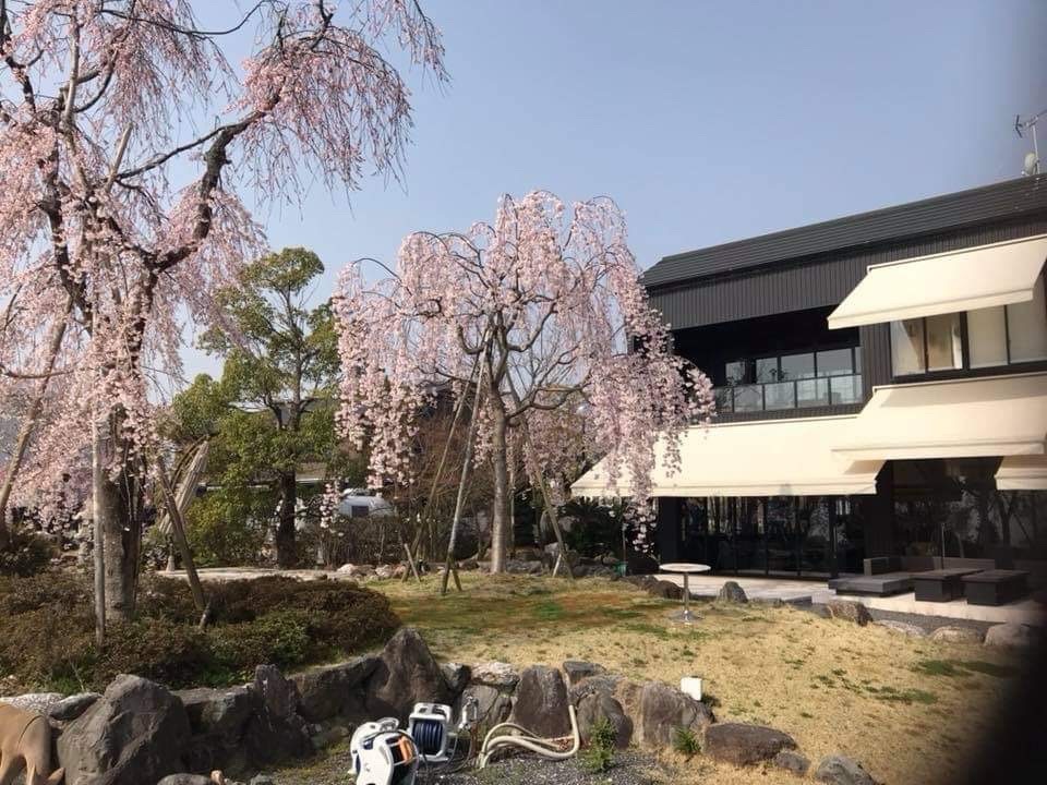 a0154045_16455960.jpeg