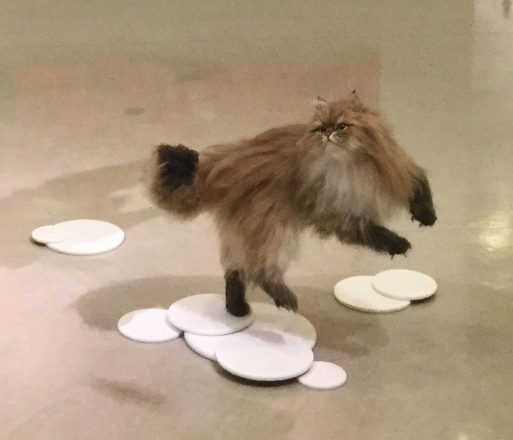 チャチャキ ナナ  「ありがとう 猫」展_f0222045_11100958.jpg