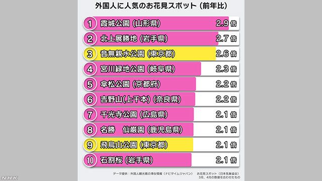【外人観光客に人気の北区の花見スポット】_b0009849_22561840.jpeg