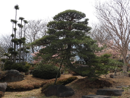 e0172950_2135149.jpg